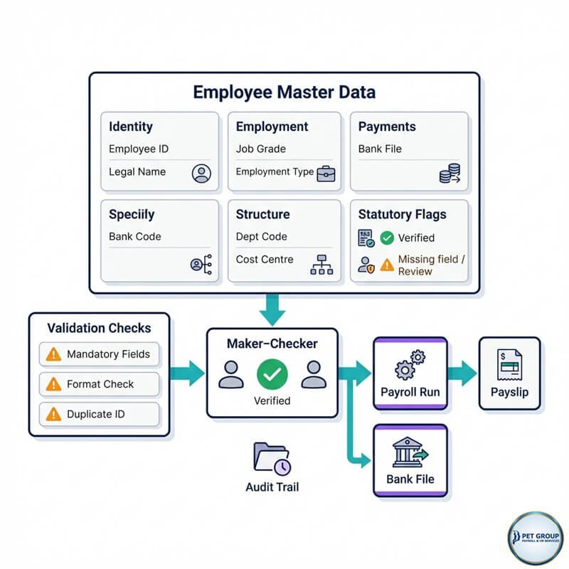 Master Payroll File Example Payroll Master Data Governance | Payroll Services | PET #1